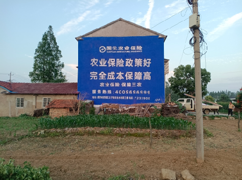 禄劝墙体广告的优劣势你知道吗？