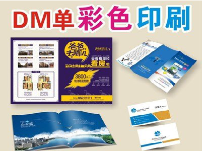 禄劝单页印刷，色彩搭配简单。